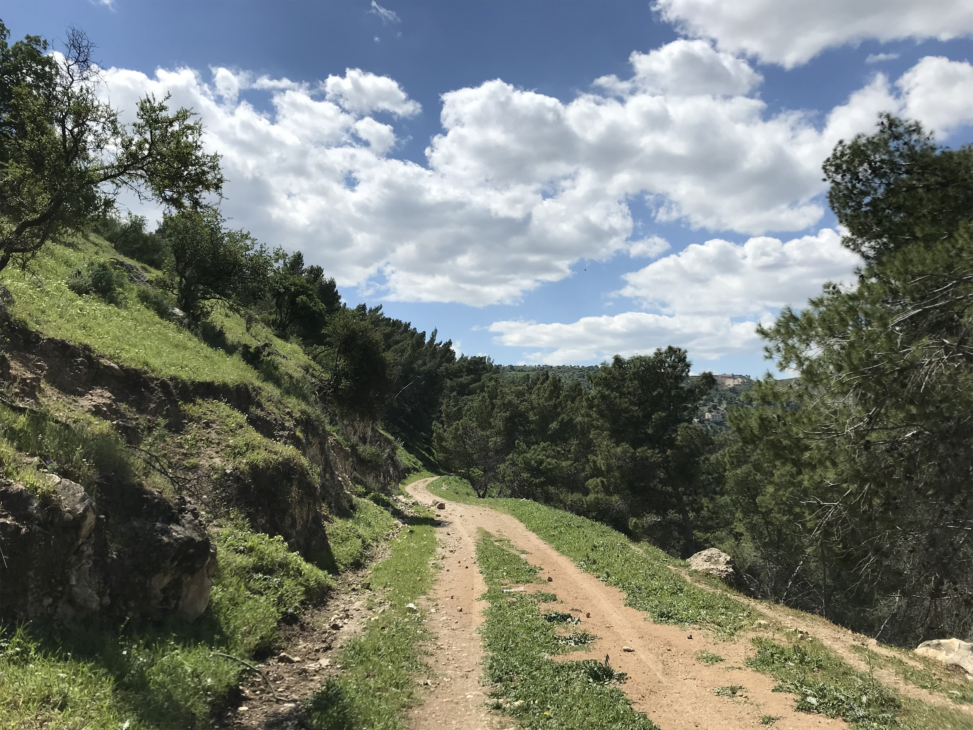 Yarmouk Natural Reserve