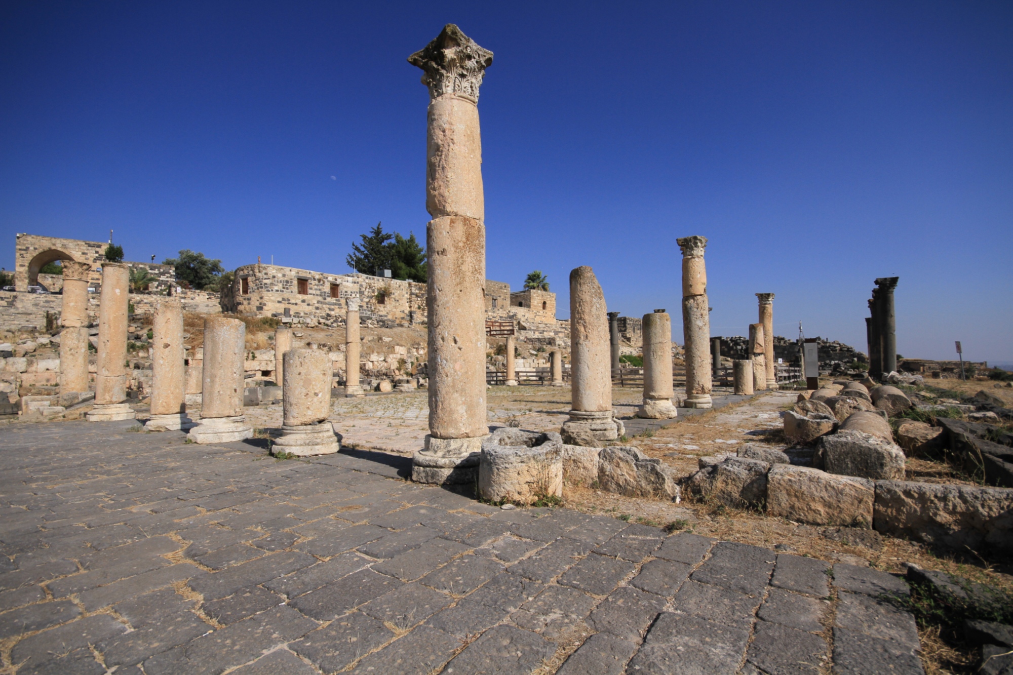 Umm Qais archaeological site