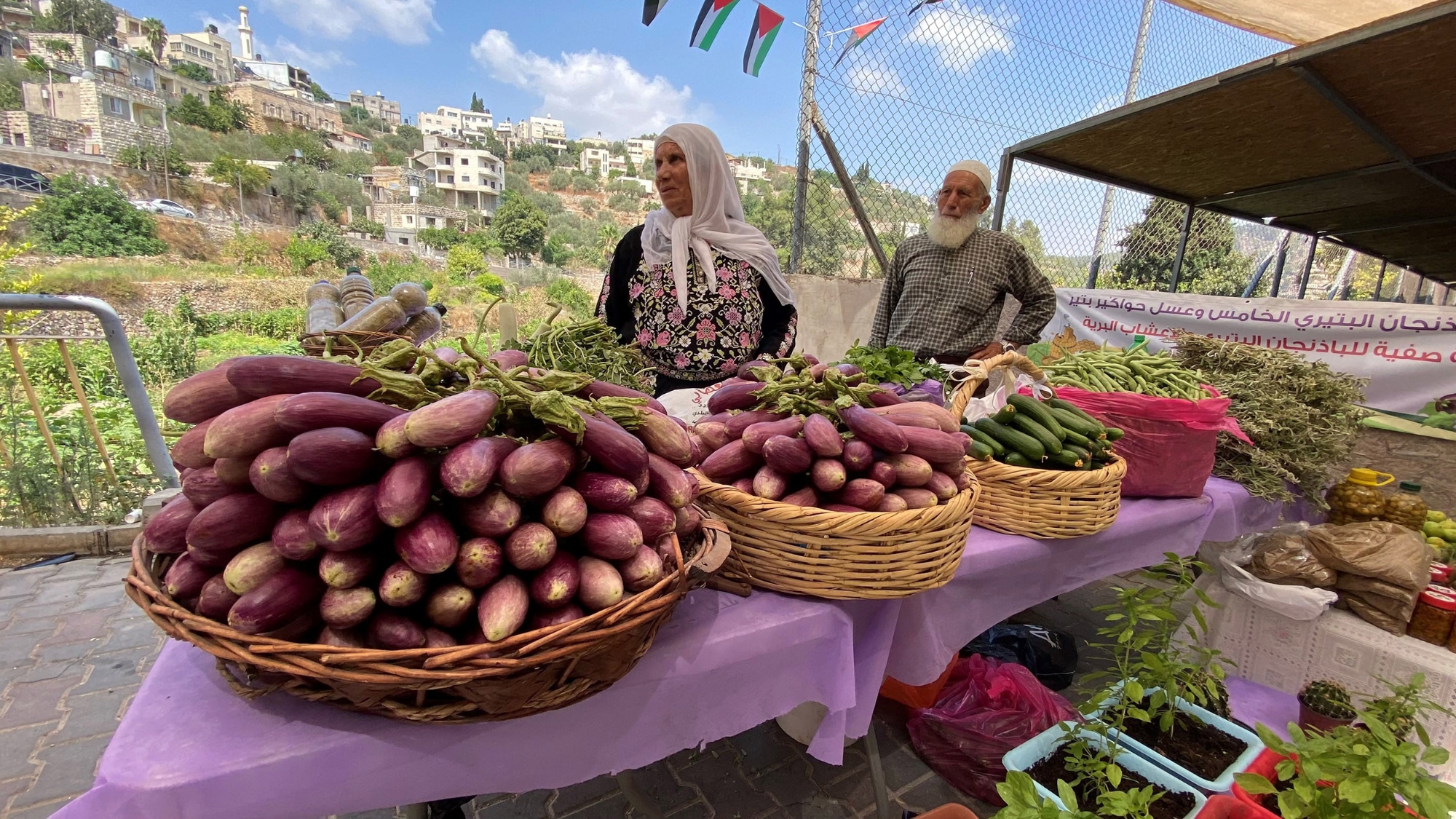 Eggplant festival 