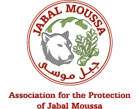 Jabal Moussa